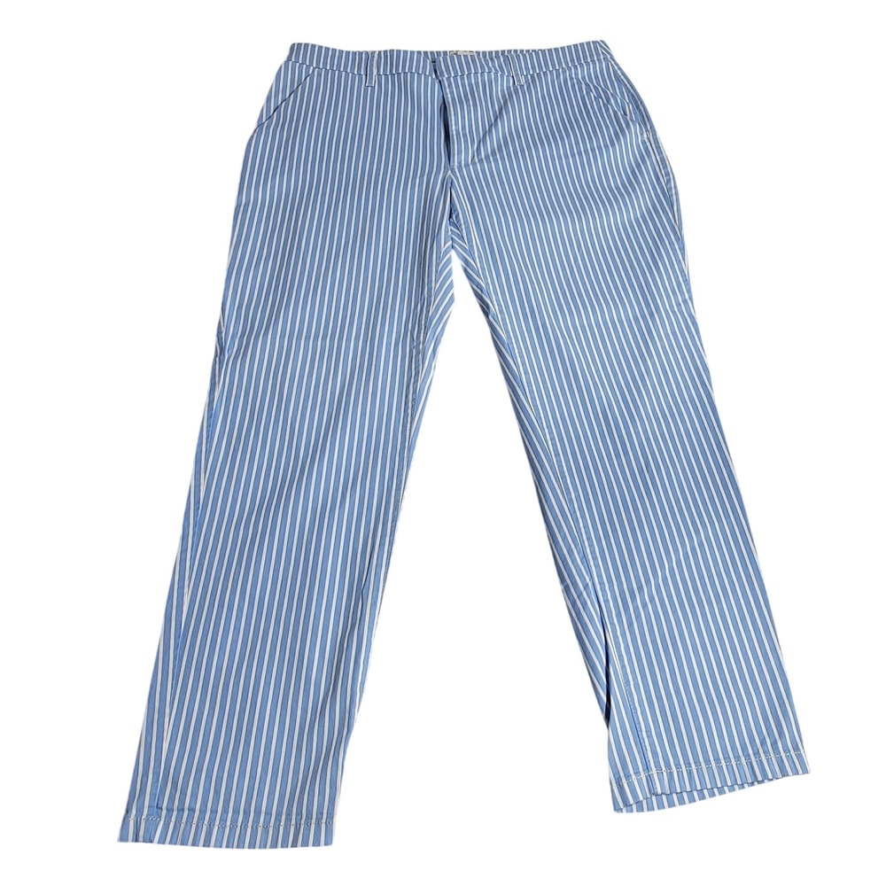 J.Crew Boyfriend Chino Slim Blue White Vertical Stripe Pants Size 30 - Picture 1 of 5
